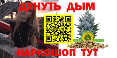 стафф Краснознаменск